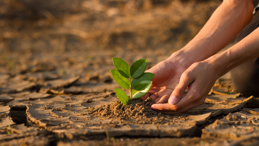 Climate Adaptation