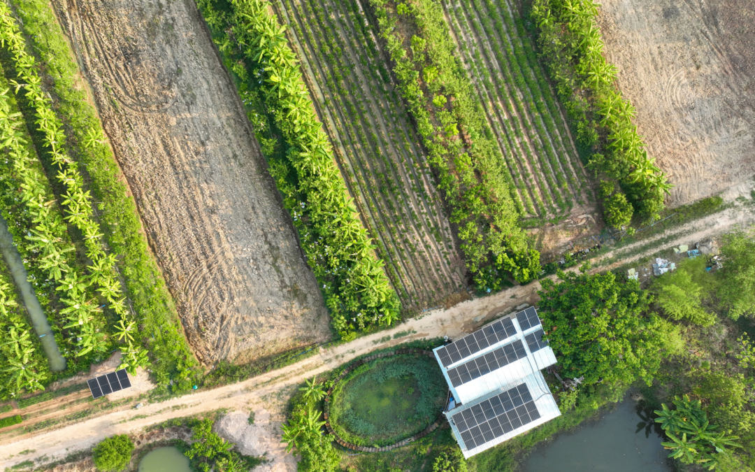 Local Climate Adaptation: Turning Climate Risks into Action