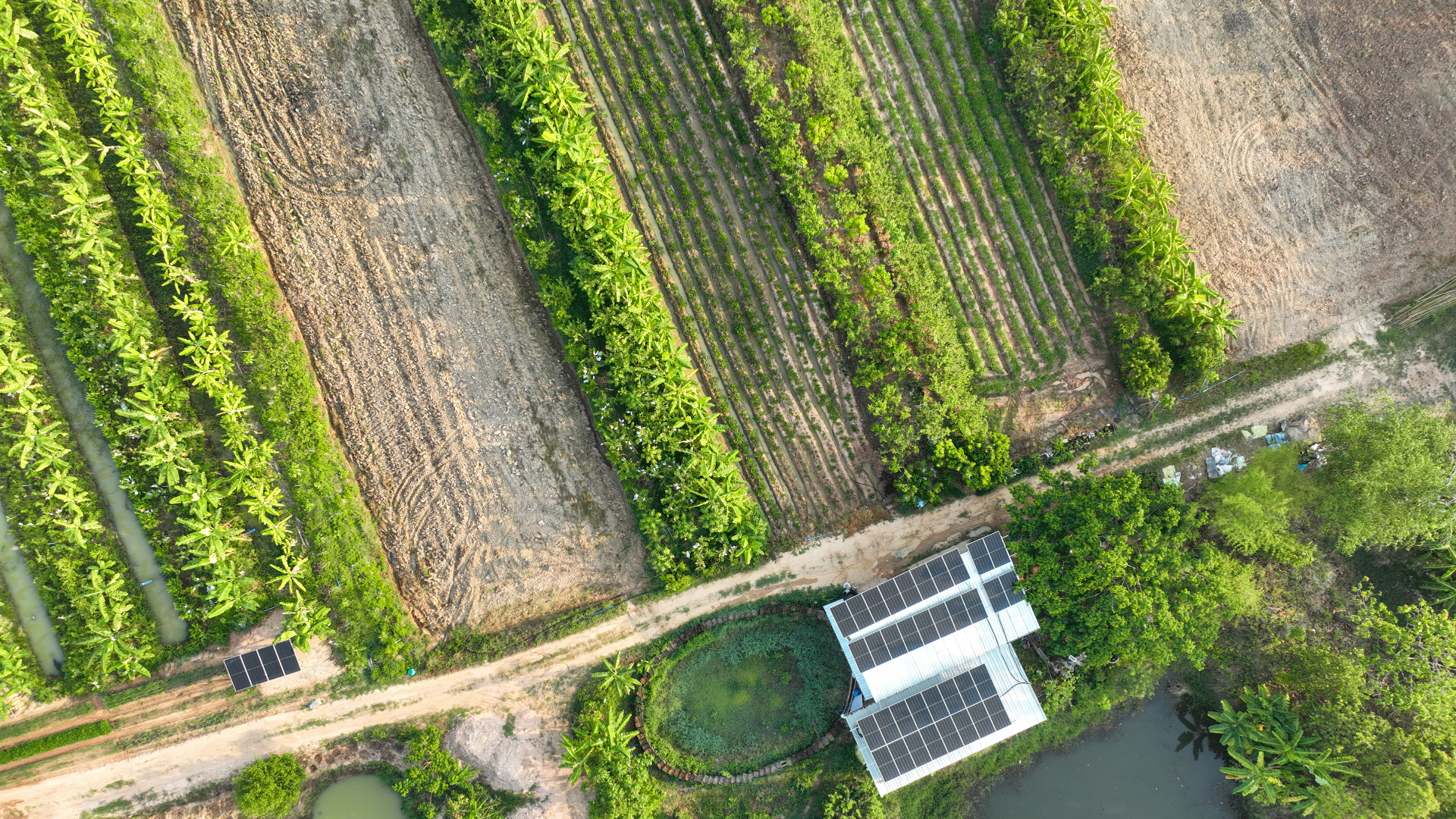 Climate Adaptation