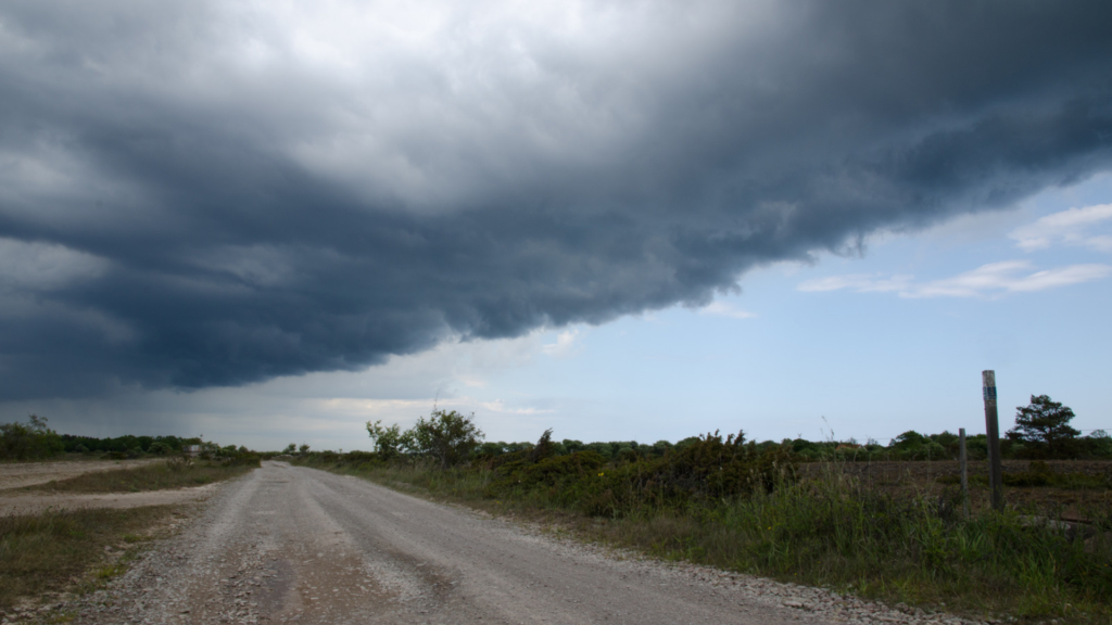 Climate Resilience
