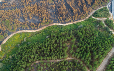 Can We Measure Climate Resilience?