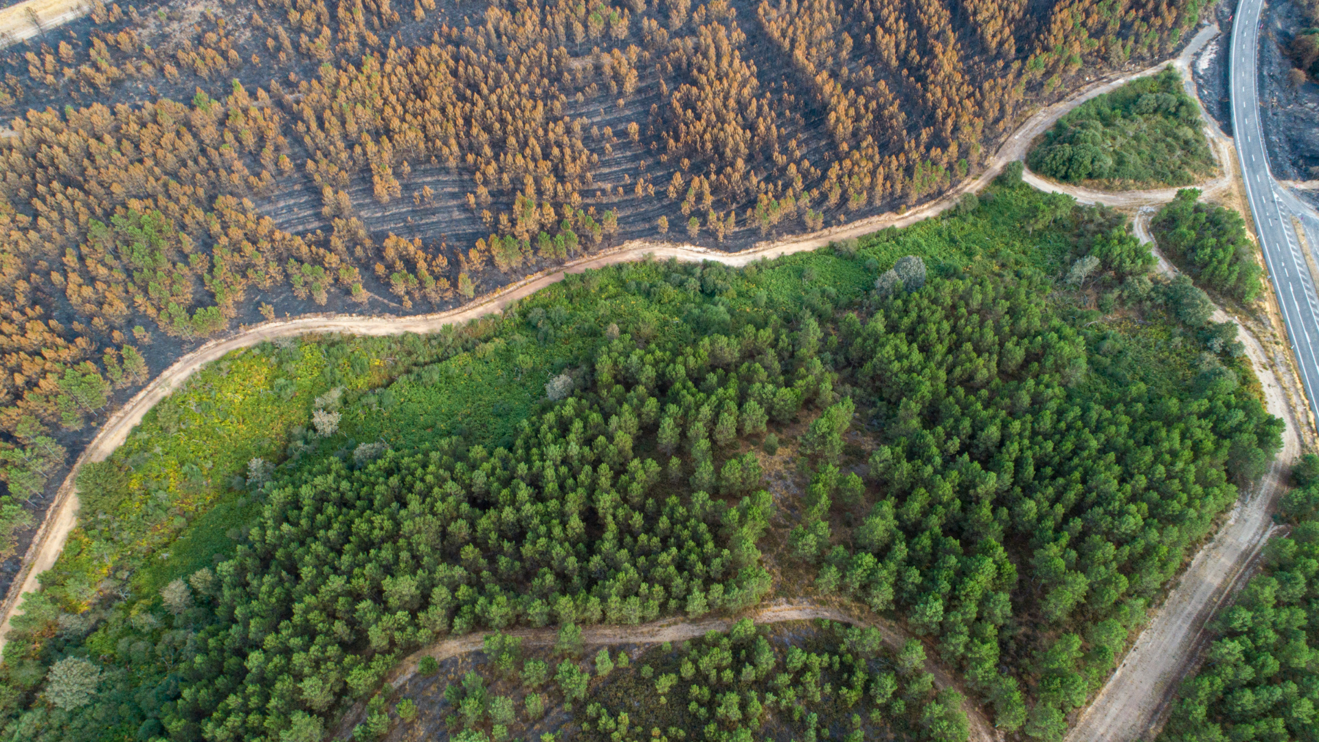 Climate Resilience